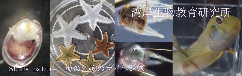 スライダー画像5c